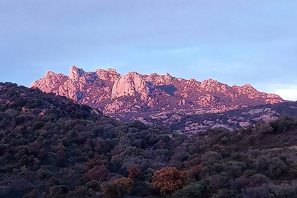 Rocce